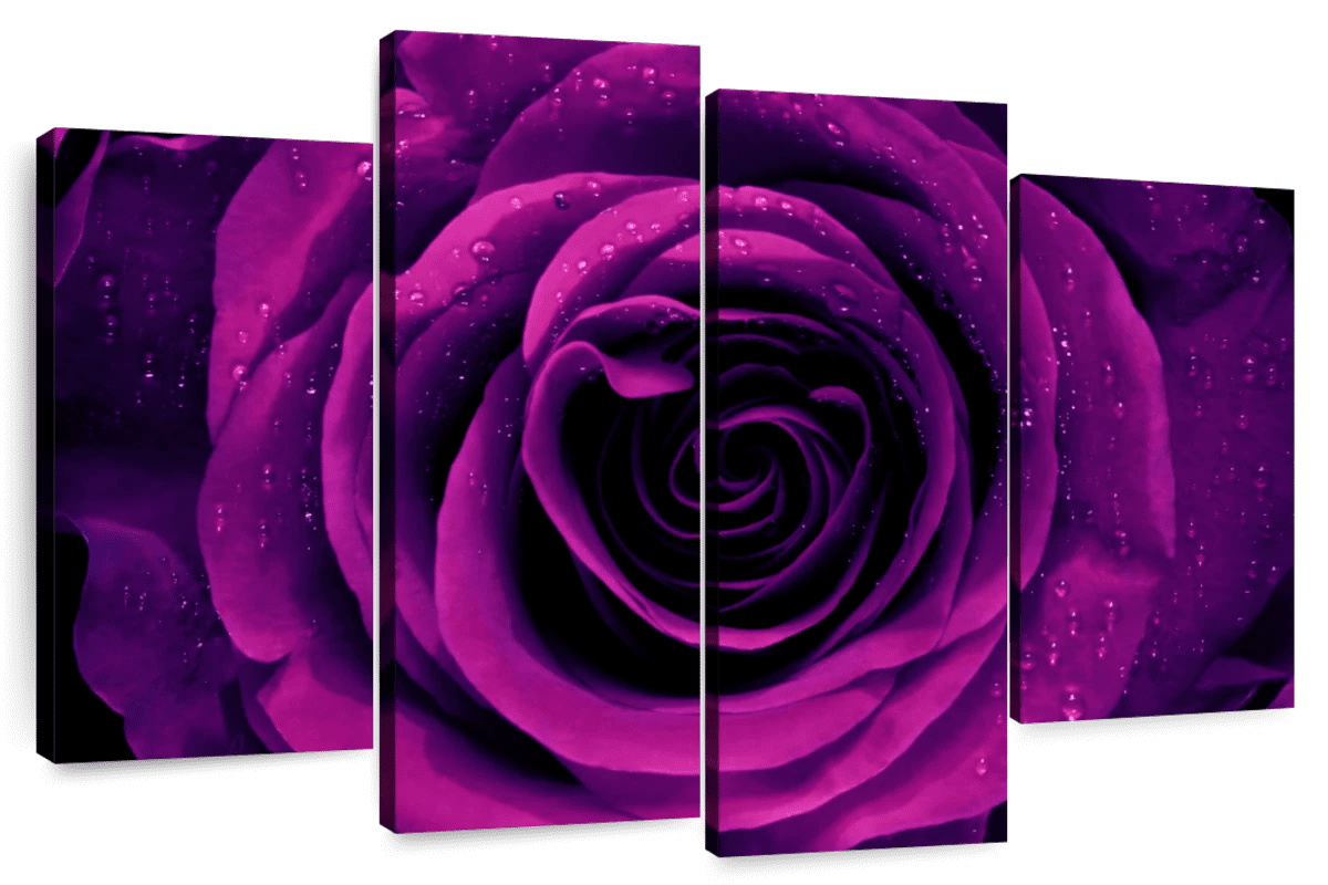 Elephant Stock Dewy Purple Rose Wall Art - Horizontal Multi Panel ...