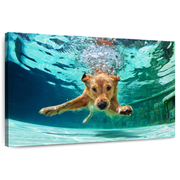 Elephant Stock Diving Golden Retriever Wall Art - Horizontal Canvas Wall Art - Living Room Wall Decor - Animal Canvas - Blue And Brown Decor - 12" x 8"