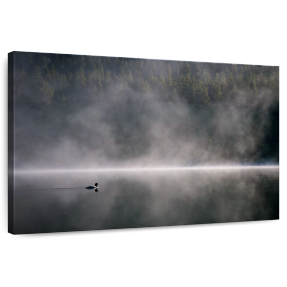 Elephant Stock Duck In Foggy Lake Wall Art - Horizontal Canvas Wall Art - Living Room Wall Decor - Nature Canvas - Brown And Gray Decor - 48" x 32"