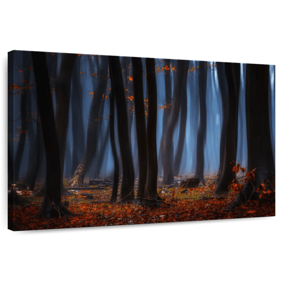 Elephant Stock Dusky Forest Wall Art - Horizontal Canvas Wall Art - Living Room Wall Decor - Nature Canvas - Black And Brown Decor - 12" x 8"
