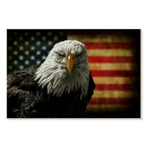 Elephant Stock Eagle And Flag Of America Wall Art - Horizontal Canvas Wall Art - Living Room Wall Decor - Animal Canvas - Red And Brown Decor - 12" x 8"