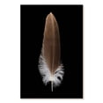 thumbnail image 1 of Elephant Stock Eagle's Brown Feather Wall Art - Vertical Canvas Wall Art - Living Room Wall Decor - Decor Elements Canvas - Black And Brown Decor - 34" x 51", 1 of 4