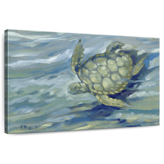 Elephant Stock East Point Sea Turtle Wall Art - Horizontal Canvas Wall Art - Living Room Wall Decor - Animal Canvas - Blue And Green Decor By Paul Brent - 39" x 26"