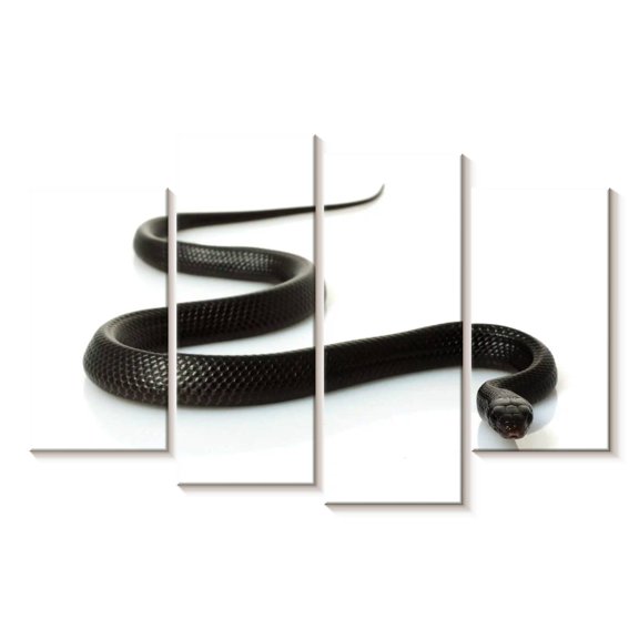 Elephant Stock Eastern Indigo Snake Wall Art - Horizontal Multi Panel Canvas - Living Room Wall Decor - Animal Multi Panel - Black And White Decor - 36" x 22"