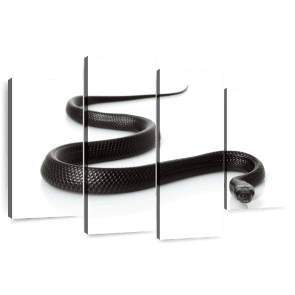 Elephant Stock Eastern Indigo Snake Wall Art - Horizontal Multi Panel Canvas - Living Room Wall Decor - Animal Multi Panel - Black And White Decor - 36" x 22"