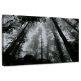 thumbnail image 1 of Elephant Stock Eerie Forest Mist Wall Art - Horizontal Canvas Wall Art - Living Room Wall Decor - Gothic Canvas - Black And Gray Decor - 36" x 24", 1 of 8