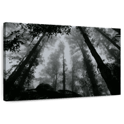 Elephant Stock Eerie Forest Mist Wall Art - Horizontal Canvas Wall Art - Living Room Wall Decor - Gothic Canvas - Black And Gray Decor - 36" x 24"