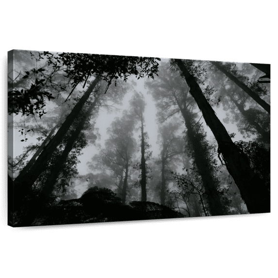 Elephant Stock Eerie Forest Mist Wall Art - Horizontal Canvas Wall Art - Living Room Wall Decor - Gothic Canvas - Black And Gray Decor - 36" x 24"