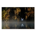 thumbnail image 1 of Elephant Stock Egret I Wall Art - Horizontal Canvas Wall Art - Living Room Wall Decor - Nature Canvas - Black And Beige Decor By Hua Zhu - 36" x 24", 1 of 8