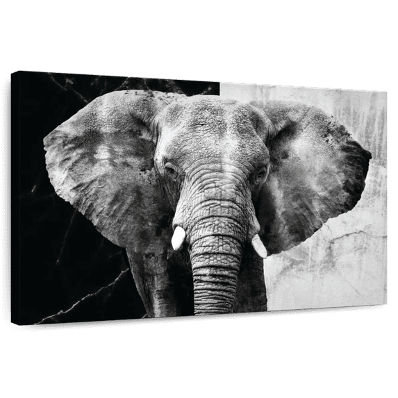 Elephant Stock Elephant Black And White Wall Art - Horizontal Canvas Wall Art - Living Room Wall Decor - Animal Canvas - Black And Gray Decor - 12" x 8"