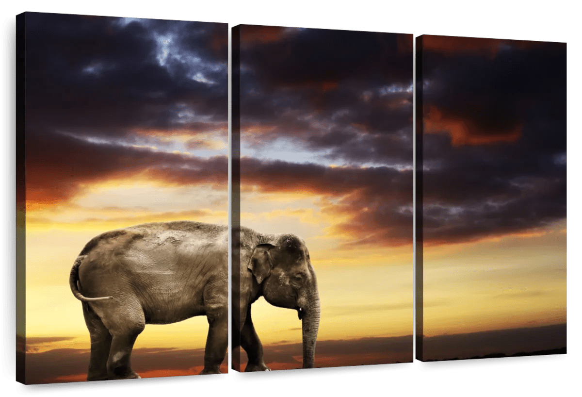 Elephant Stock Elephant At Dusk Wall Art - Horizontal Multi Panel ...