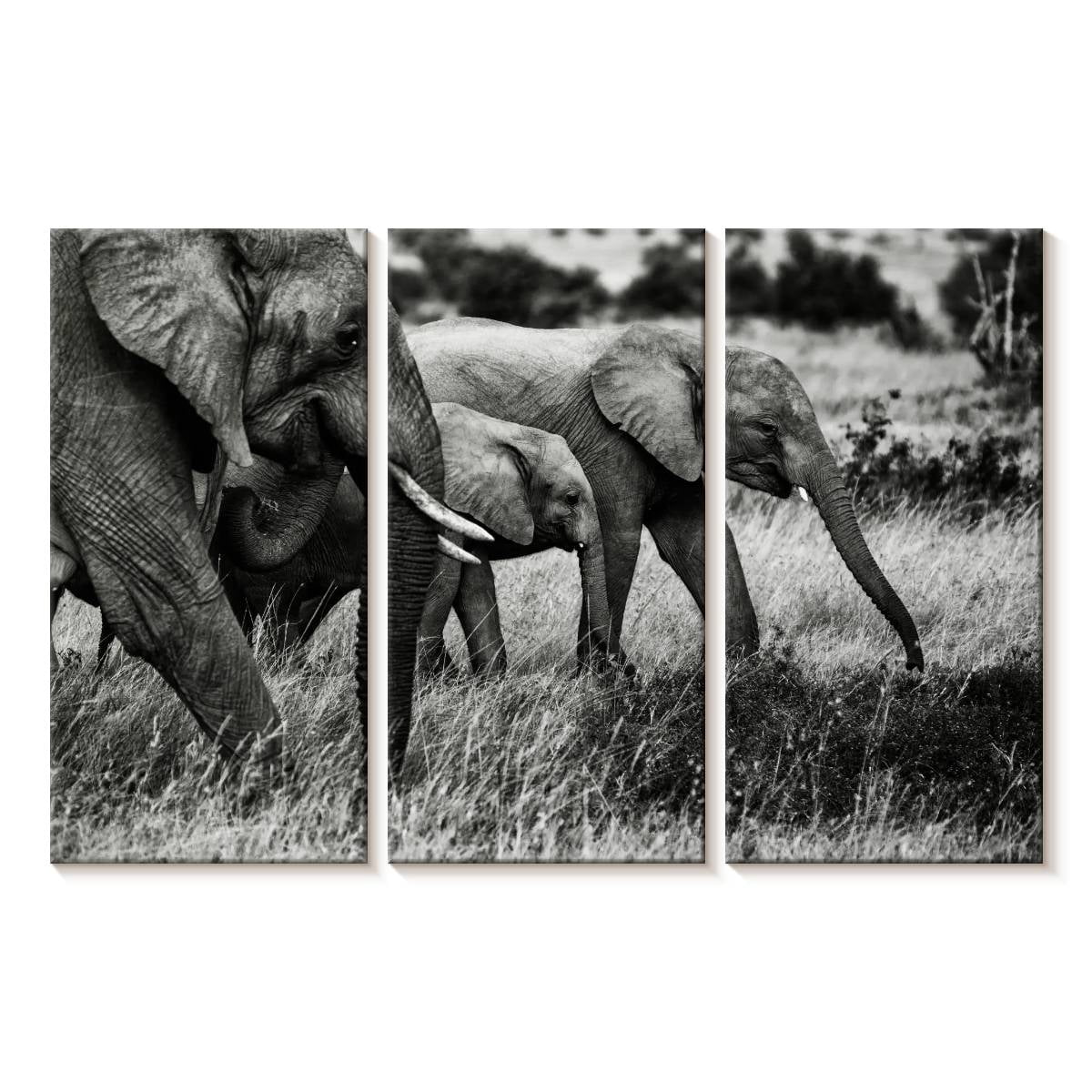 Elephant Stock Elephant Family I Wall Art - Horizontal Multi Panel ...