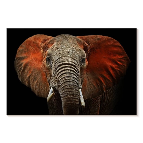 Elephant Stock Elephant Portrait Wall Art - Horizontal Canvas Wall Art - Living Room Wall Decor - Animal Canvas - Black And Brown Decor - 51" x 34"