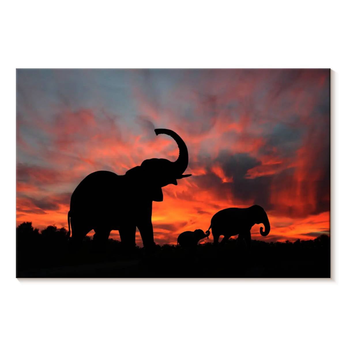Elephant Stock Elephant Silhouette Sunset Wall Art - Horizontal Canvas ...