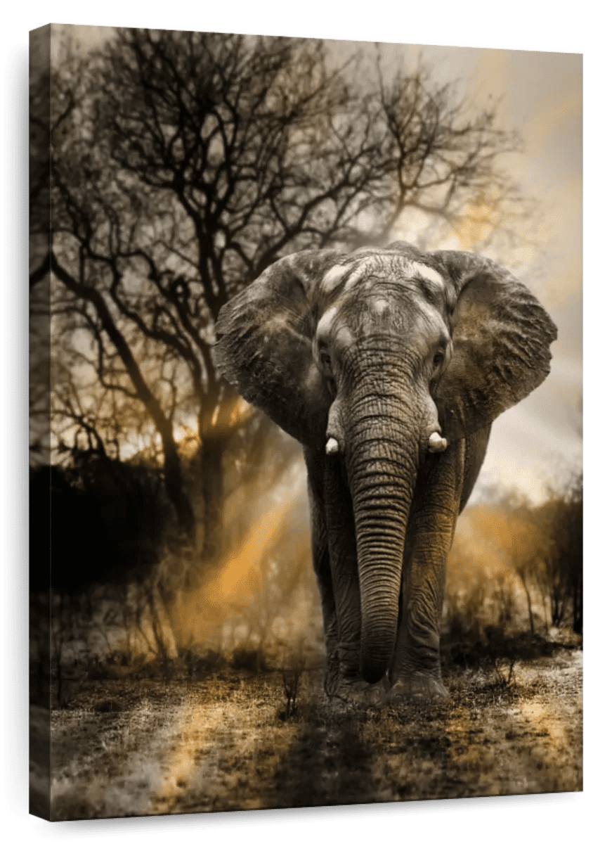 Elephant Stock Elephant Sunset Wall Art - Vertical Canvas Wall Art ...