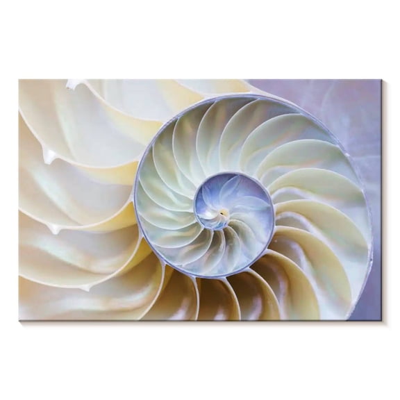 Elephant Stock Empty Nautilus Shell Wall Art - Horizontal Canvas Wall Art - Living Room Wall Decor - Animal Canvas - Blue And Purple Decor - 51" x 34"