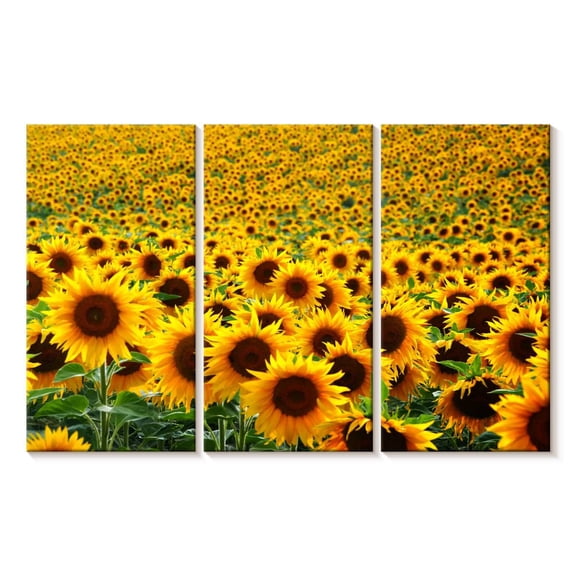 Elephant Stock Endless Sunflower Field Wall Art - Horizontal Multi Panel Canvas - Living Room Wall Decor - Nature Multi Panel - Gold And Green Decor - 33" x 20"