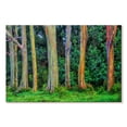 thumbnail image 1 of Elephant Stock Eucalyptus Rainbow Trees Wall Art - Horizontal Canvas Wall Art - Living Room Wall Decor - Floral And Botanical Canvas - Green And Blue Decor - 45" x 30", 1 of 8
