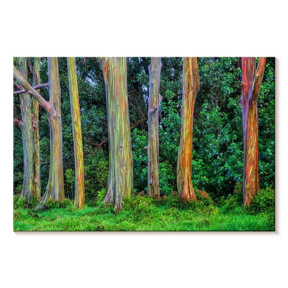Elephant Stock Eucalyptus Rainbow Trees Wall Art - Horizontal Canvas Wall Art - Living Room Wall Decor - Floral And Botanical Canvas - Green And Blue Decor - 45" x 30"