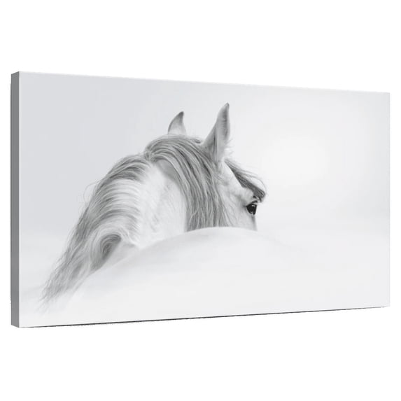 Elephant Stock Exquisite White Horse Wall Art - Horizontal Canvas Wall Art - Living Room Wall Decor - Photography Animal Canvas - Gray And Whitedecor By Photoinc Studio - 12" x 8"
