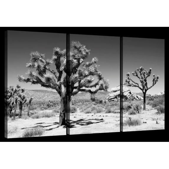 Elephant Stock Famous Joshua Trees Wall Art - Horizontal Multi Panel Canvas - Hallway Wall Decor - Floral And Botanical Multi Panel - Black And Gray Decor By Philippe Hugonnard - 50" x 32"
