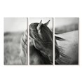 thumbnail image 1 of Elephant Stock Fierce Grace Wall Art - Horizontal Multi Panel Canvas - Living Room Wall Decor - Animal Multi Panel - Gray And Black Decor By Tony Stromberg - 23" x 14", 1 of 4