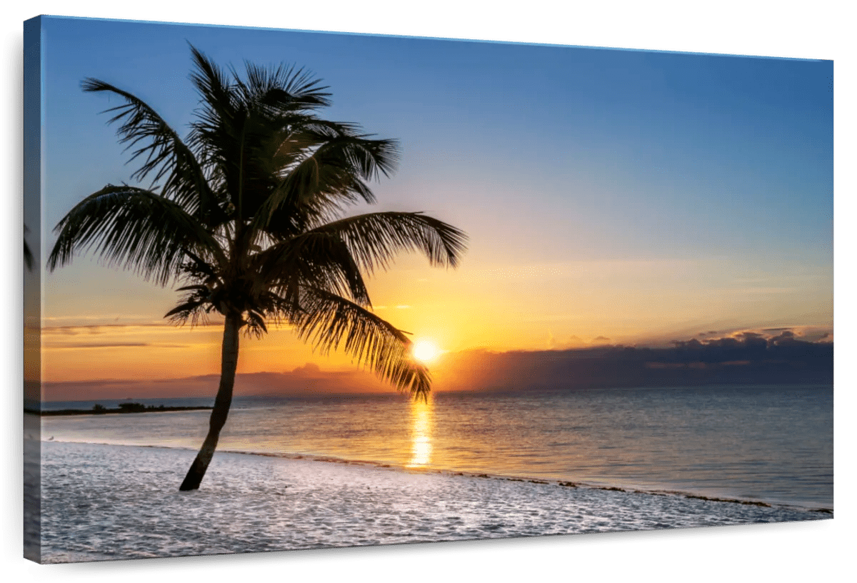 Elephant Stock Florida Beach Sunset Wall Art - Horizontal Canvas Wall ...