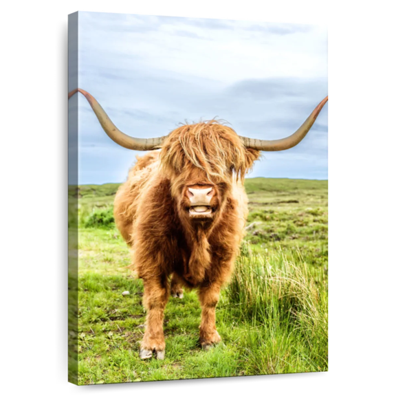 Elephant Stock Fluffy Baby Highland Cow Scotland Wall Art - Vertical Canvas Wall Art - Living Room Wall Decor - Animal Canvas - Blue And White Decor By Susanne Kremer - 20" x 30"
