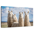 thumbnail image 1 of Elephant Stock Fluffy White Llamas Wall Art - Horizontal Canvas Wall Art - Living Room Wall Decor - Animal Canvas - Blue And Brown Decor - 12" x 8", 1 of 8