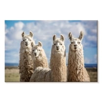 Elephant Stock Fluffy White Llamas Wall Art - Horizontal Canvas Wall Art - Living Room Wall Decor - Animal Canvas - Blue And Brown Decor - 12" x 8"