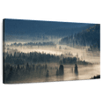 thumbnail image 1 of Elephant Stock Foggy Fir Forest Wall Art - Horizontal Canvas Wall Art - Living Room Wall Decor - Nature Canvas - Gray And Beige Decor - 36" x 24", 1 of 8