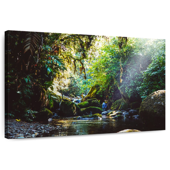 Elephant Stock Forest In Panama Wall Art - Horizontal Canvas Wall Art - Living Room Wall Decor - Nature Canvas - Black And Green Decor - 39" x 26"