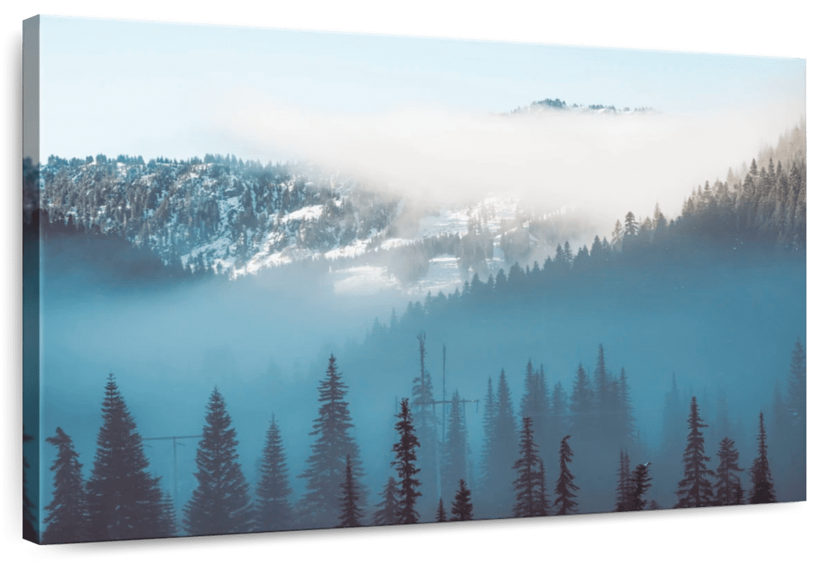 Elephant Stock Forest Morning Mist Wall Art - Horizontal Canvas Wall ...
