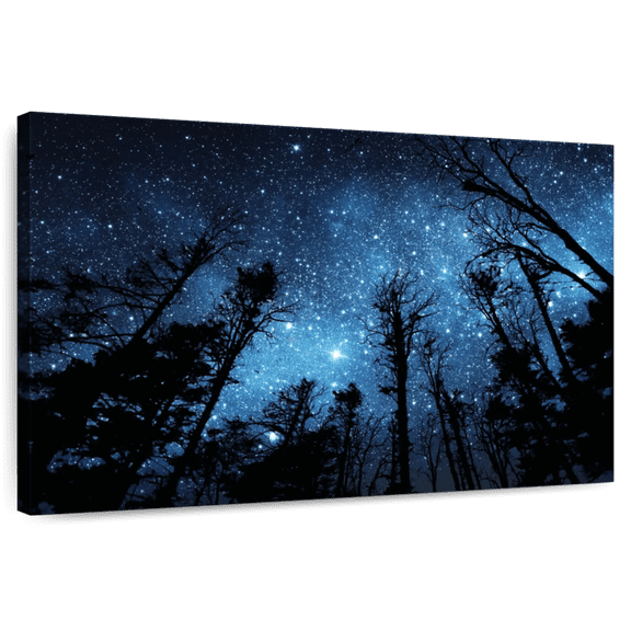 Elephant Stock Forest Night Sky Wall Art - Horizontal Canvas Wall Art - Living Room Wall Decor - Astronomy & Space Canvas - Black And Blue Decor - 12" x 8"