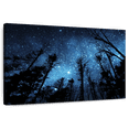 thumbnail image 1 of Elephant Stock Forest Night Sky Wall Art - Horizontal Canvas Wall Art - Living Room Wall Decor - Astronomy & Space Canvas - Black And Blue Decor - 39" x 26", 1 of 8