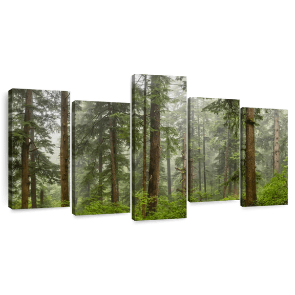 Elephant Stock Forest Panorama On The Oregon Coast Wall Art - Horizontal Multi Panel Canvas - Living Room Wall Decor - Nature Multi Panel - Green And Brown Decor By Scott Stulberg - 49" x 24"