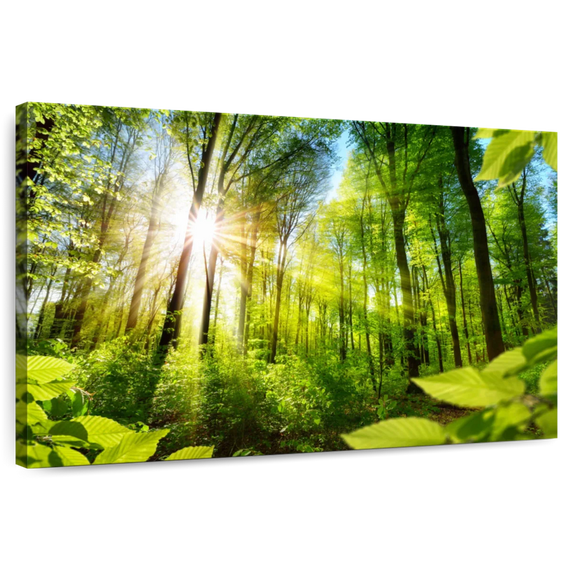 Elephant Stock Forest Sunshine Wall Art - Horizontal Canvas Wall Art - Living Room Wall Decor - Wellness Canvas - Black And Blue Decor - 48" x 32"