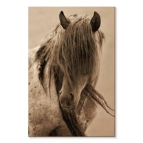 Elephant Stock Freedom Horse Wall Art - Vertical Canvas Wall Art - Hallway Wall Decor - Animal Canvas - Beige And Brown Decor By Lisa Dearing - 8" x 12"