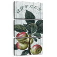thumbnail image 1 of Elephant Stock Fresh Apples Wall Art - Vertical Multi Panel Canvas - Living Room Wall Decor - Food And Drink Multi Panel - Green And White Decor - 12" x 27", 1 of 8
