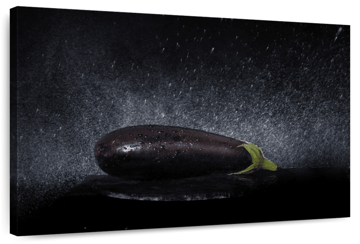 Elephant Stock Fresh Aubergine Wall Art Horizontal Canvas Wall Art