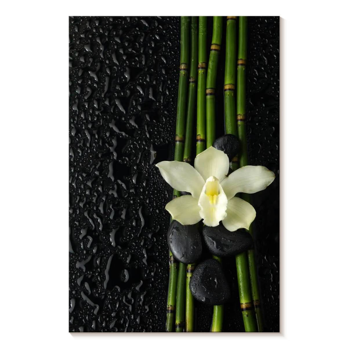 Elephant Stock Fresh Spa Wall Art - Vertical Canvas Wall Art - Hallway ...