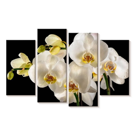 Elephant Stock Fresh White Orchid Flowers Wall Art - Horizontal Multi Panel Canvas - Living Room Wall Decor - Floral And Botanical Multi Panel - Green And Gray Decor - 30" x 18"