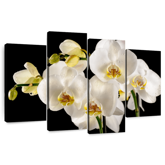 Elephant Stock Fresh White Orchid Flowers Wall Art - Horizontal Multi Panel Canvas - Living Room Wall Decor - Floral And Botanical Multi Panel - Green And Gray Decor - 84" x 54"