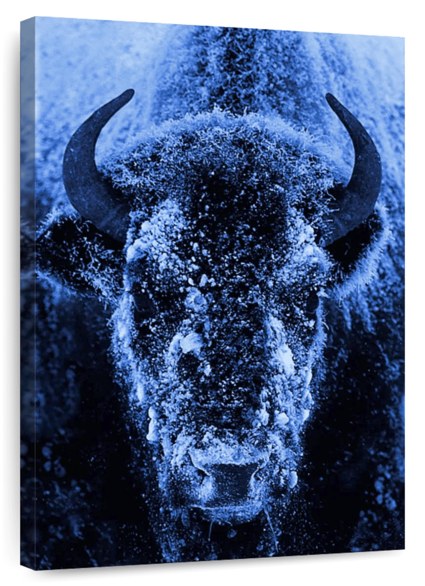 Elephant Stock Frosty Safari Animal Wall Art - Vertical Canvas Wall Art ...