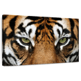 thumbnail image 1 of Elephant Stock Gaze Of A Tiger Wall Art - Horizontal Canvas Wall Art - Living Room Wall Decor - Animal Canvas - Brown And Orange Decor - 45" x 30", 1 of 8