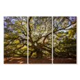 thumbnail image 1 of Elephant Stock Gnarled Angel Oak Wall Art - Horizontal Multi Panel Canvas - Living Room Wall Decor - Floral And Botanical Multi Panel - Orange And Green Decor - 38" x 24", 1 of 4
