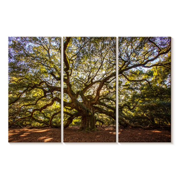 Elephant Stock Gnarled Angel Oak Wall Art - Horizontal Multi Panel Canvas - Living Room Wall Decor - Floral And Botanical Multi Panel - Orange And Green Decor - 38" x 24"