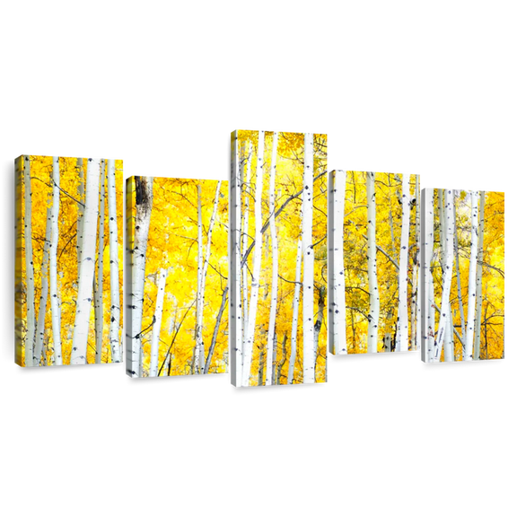 Elephant Stock Golden Birch Trees Wall Art - Horizontal Multi Panel Canvas - 5 Pieceliving Room Wall Decor - Photography Nature Multi Panel - Yellow And Green Decor - 54" x 27"