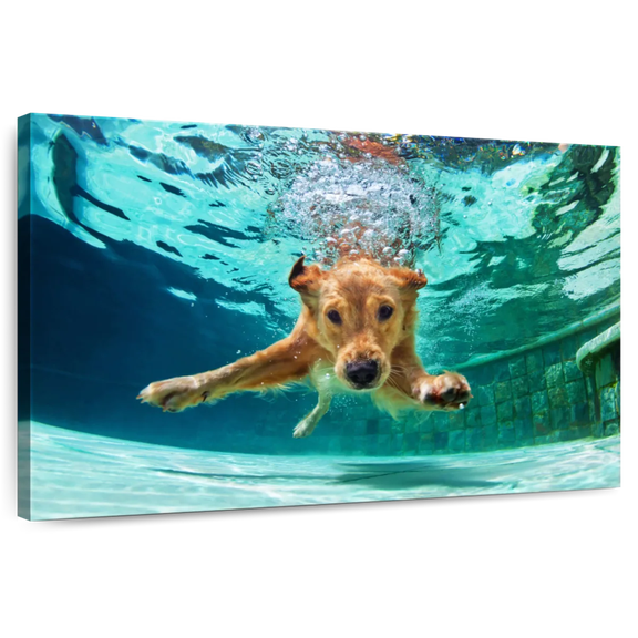 Elephant Stock Golden Retriever Diving Wall Art - Horizontal Canvas Wall Art - Living Room Wall Decor - Animal Canvas - Turquoise And Teal Decor - 30" x 20"