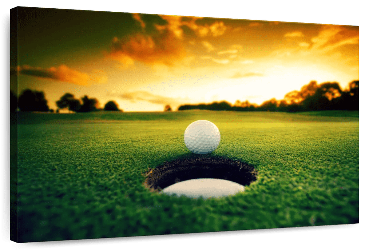 Elephant Stock Golf Ball Wall Art Horizontal Canvas Wall Art Living